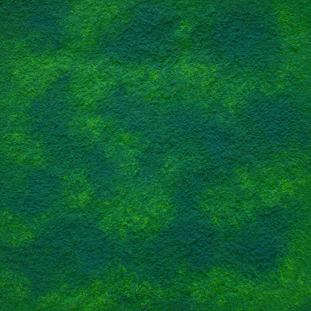 Decorative Moss — decorative effect applied